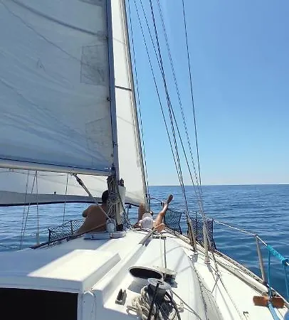 Le Nid Marin,un Voilier Pour Deux Vieux Port *