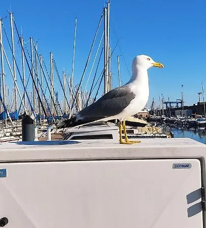 Le Nid Marin,un Voilier Pour Deux Vieux Port Sète