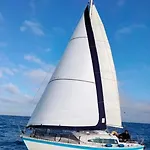 Nui Insolite A Bord D'un Voilier Vieux Port Sète