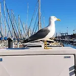 Le Nid Marin,un Voilier Pour Deux Vieux Port Sète