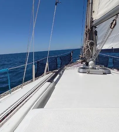 Insolite Au Fil De L'eau *