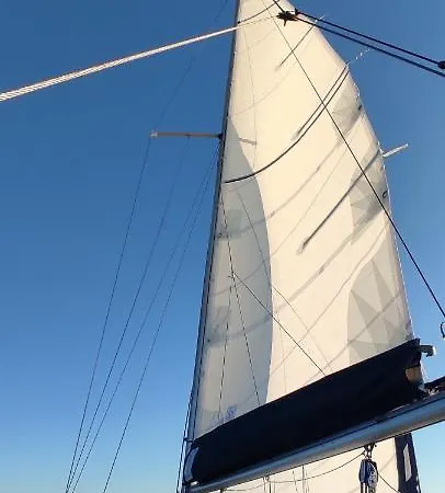 Insolite Au Fil De L'eau *