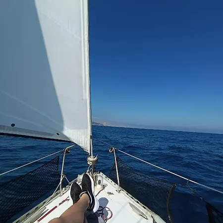 Le Nid Marin,un Voilier Pour Deux Vieux Port
