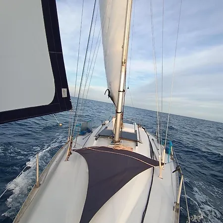 Le Nid Marin,un Voilier Pour Deux Vieux Port